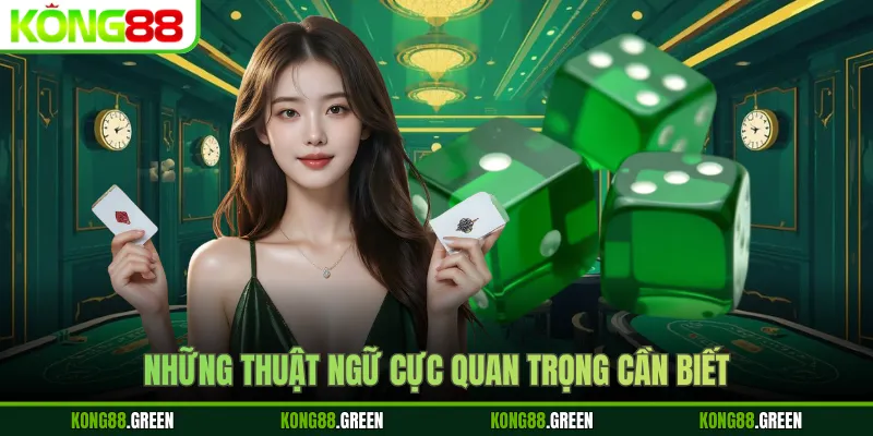 Những thuật ngữ cực quan trọng cần biết